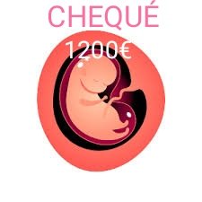 Cheque bebé 1200 Euros, nueva ayuda 2022