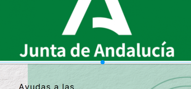 Junta de Andalucía | Nuevo “bono familia 2024”